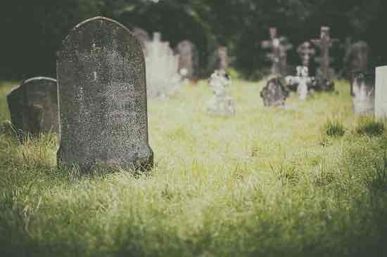 <p>Pass away</p>