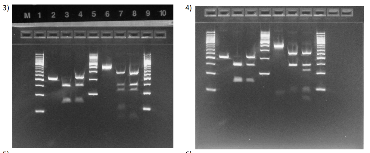 <p>What is each lane</p>