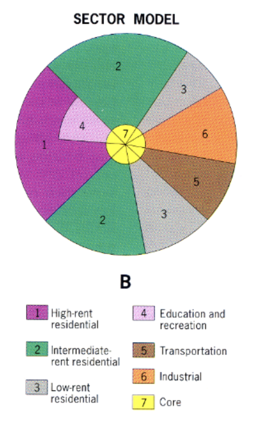 <p>homer hoyt (1939)</p><p><span style="color: #000000">a spatial model of the american city that suggests that land-use areas conform to a wedge-shaped pattern focused on the downtown core (CBD)</span></p>