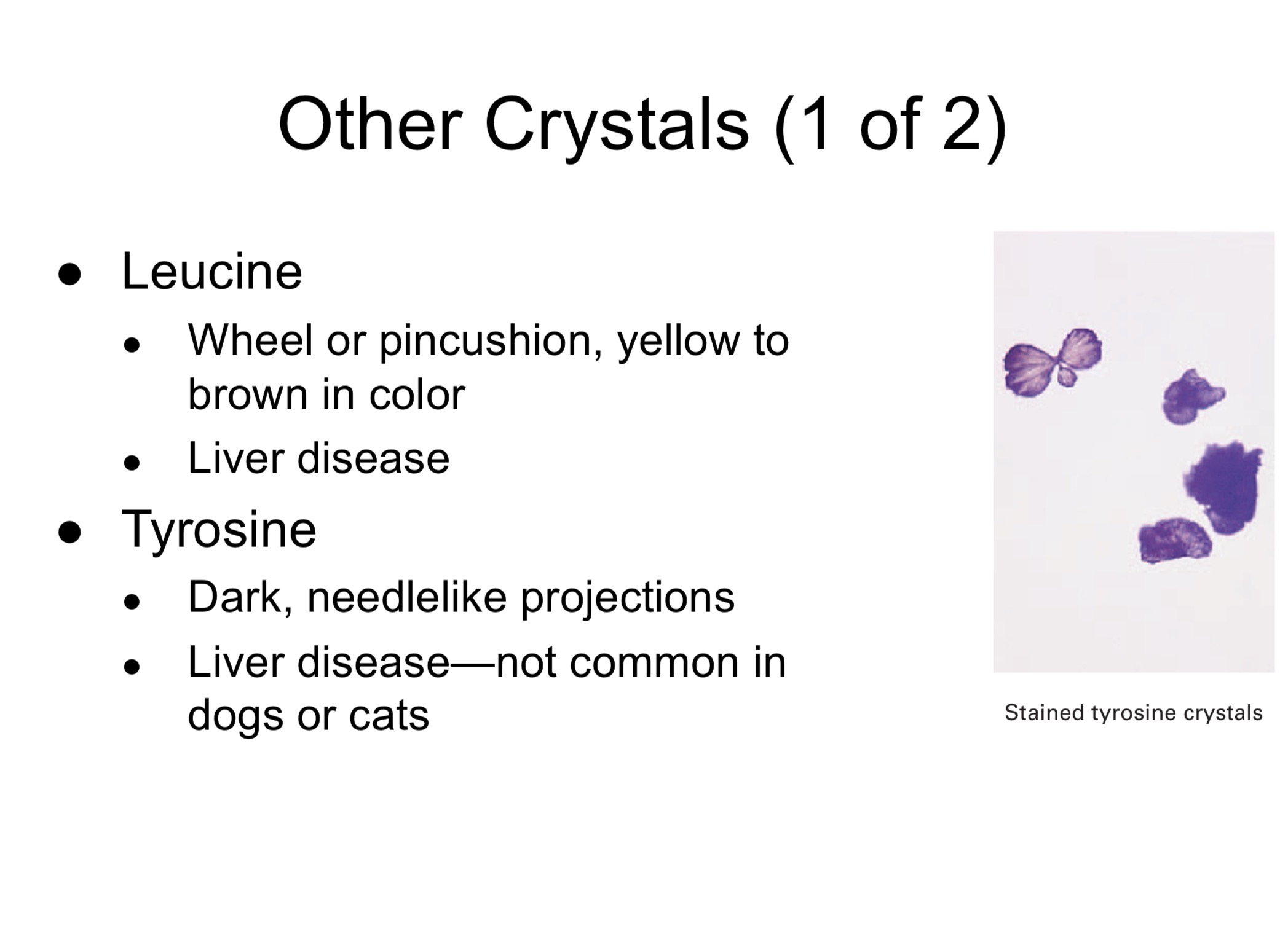 <p><span>Other Crystals</span></p>