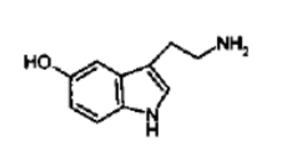 <p>What NT is this?</p>