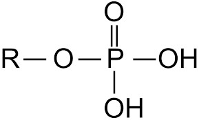 <p>R-PO<sub>4</sub>H<sub>2</sub></p>