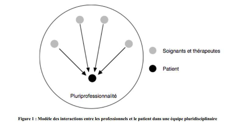 <p>La Pluridisciplinarité</p>