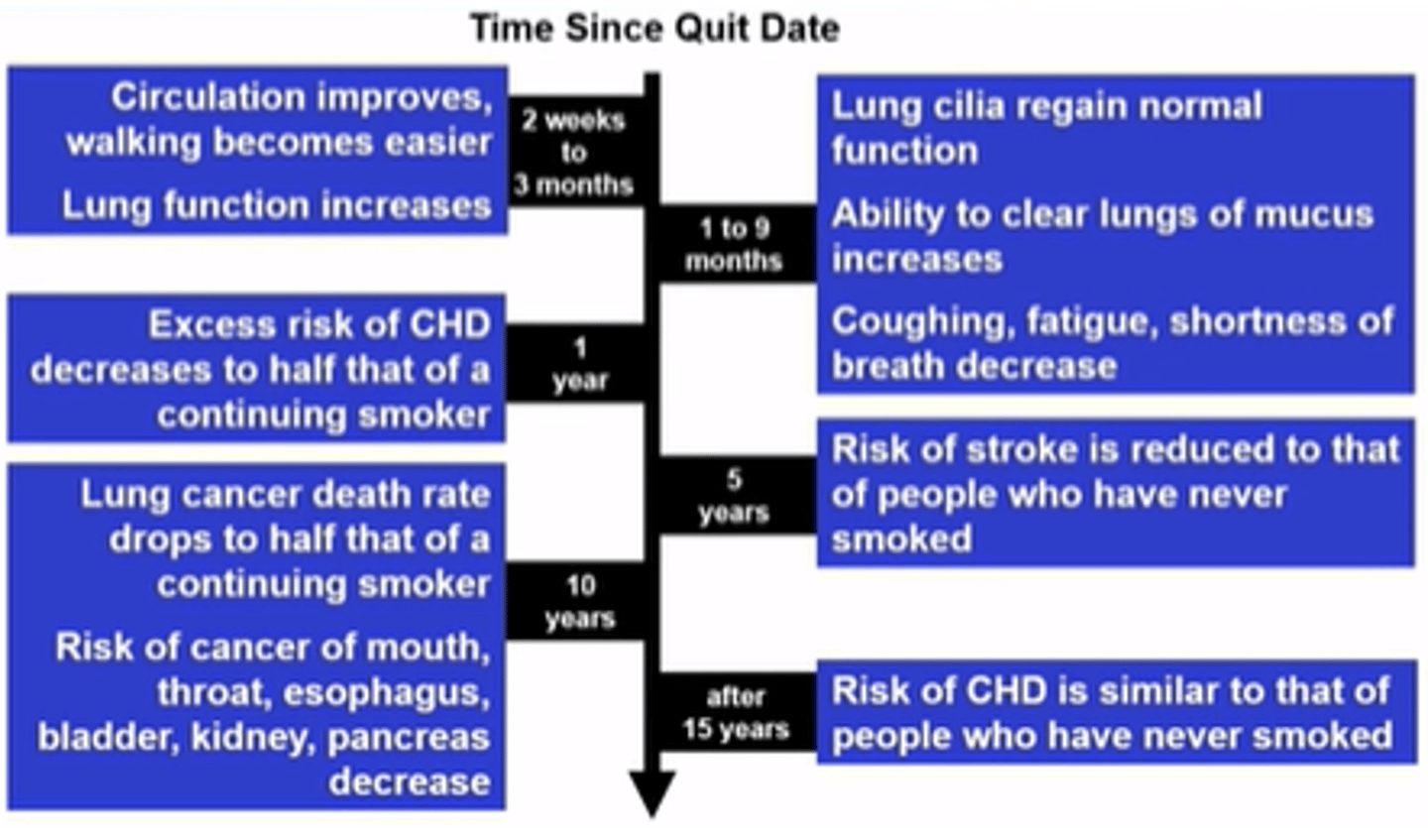 <p>Reduction in cumulative risk of death from lung cancer in men also reduces risk of death overall</p>