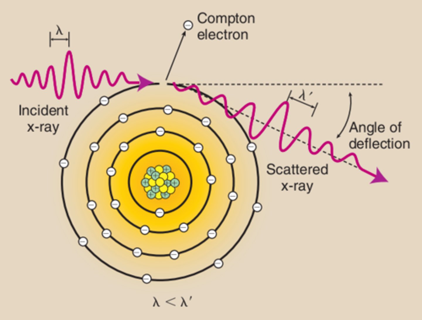 <p>The incident x-ray interacts with an outer-shell electron and ejects it from the atom, ionizing the atom. The x-ray then continues in a different direction with less energy and a longer wavelength.</p>