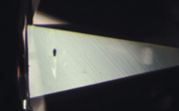 <p>What blemish is this?</p>