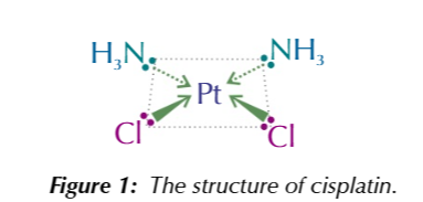 <p>cisplatin</p>