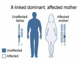<p>How will you counsel the following parents on the probability of producing abnormalities in their children?</p>