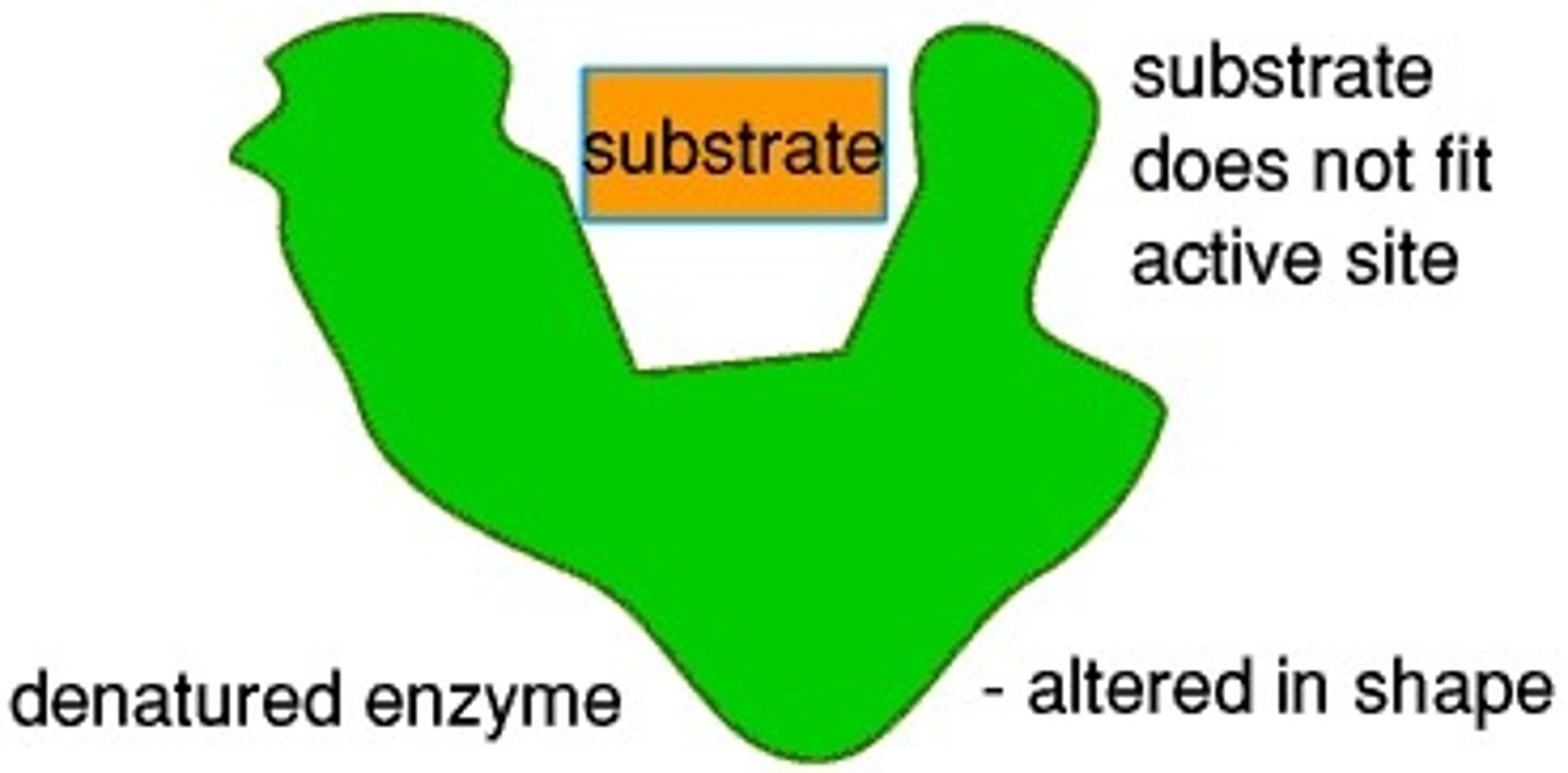 <p>When the active site changes shape and can no longer bind to a substrate due to unsuitable temperature or pH</p>