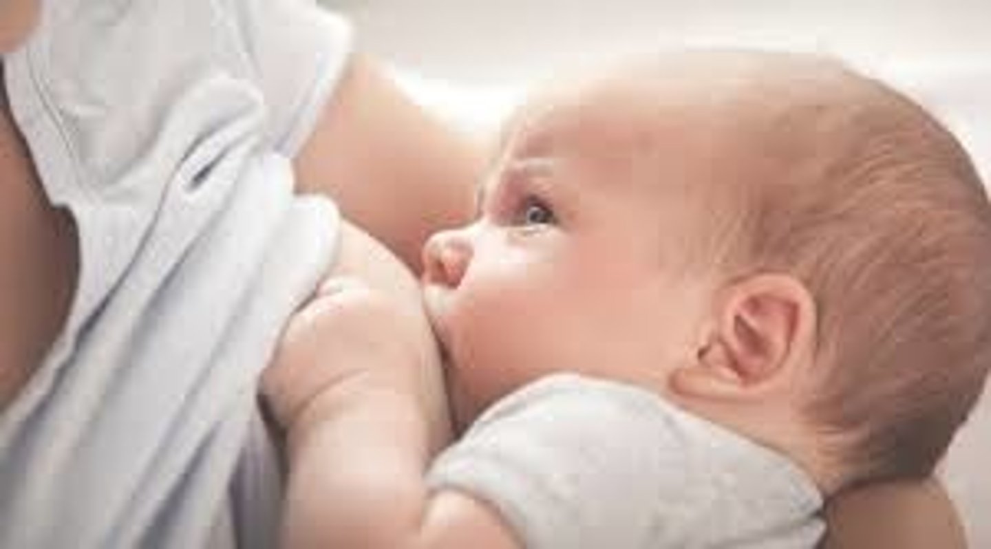 <p>to breastfeed</p>