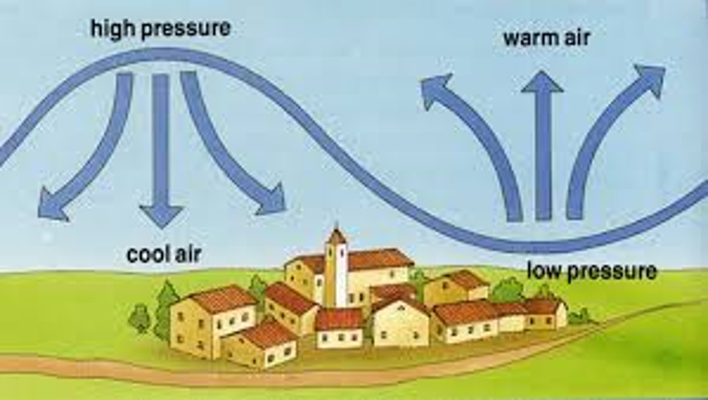 <p>what type of pressure would we expect do see in desert biomes?</p>