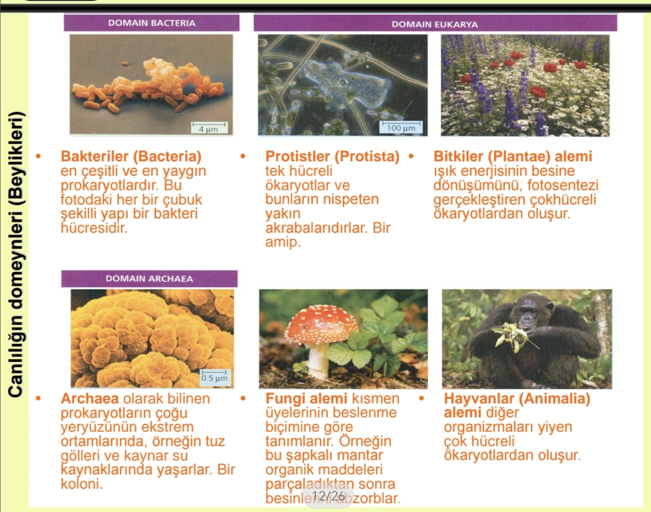 <p>3 domain - 6 alem</p><p>Domain: Bacteria - Archaea - Eucarya</p><p>Alem: Bacteria - Archaea- Protista - Fungi - Plantae - Animalia</p><p></p>
