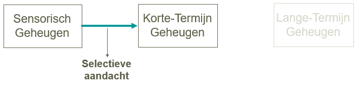 <p>Selectieve aandacht</p><ul><li><p><em>vb. “wat hoor je?” → aandacht naar geluid, prikkels opgemerkt, anders weggefilterd door overprikkeling/overspoeling</em></p></li></ul><p></p>