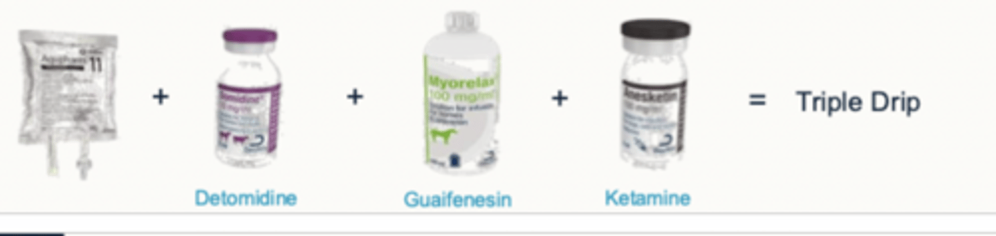 <p>total intravenous anaesthesia</p><p>top-up bolus injections (propofol, alfaxalone, ketamine)</p><p>continuous rate infusions (propofol, alfaxalone, triple drip anaesthesia in equine</p>