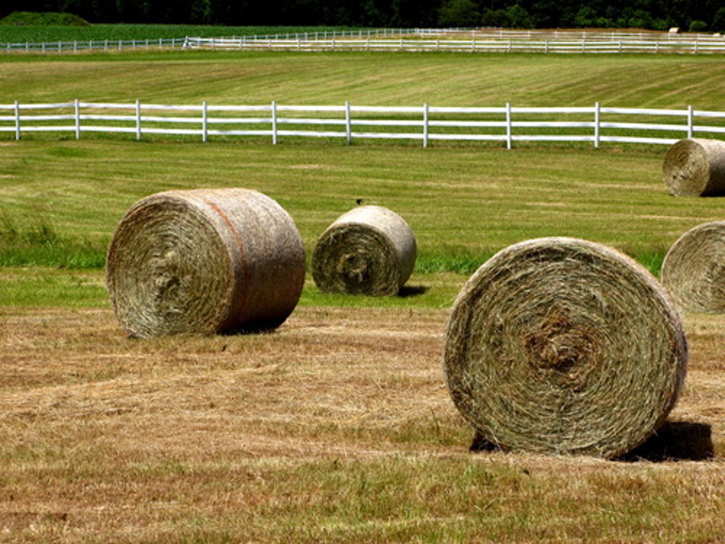 <p>Issues surrounding the production of agricultural products. The main issues were the high cost of transportation (caused railroad monopolies), low prices for farm products (caused by overproduction), and mortgaged farms in order to buy seed and supplies.</p>