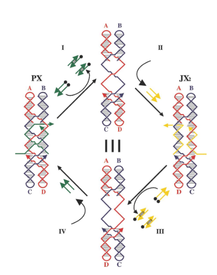 <p>How are the yellow strands removed?</p>