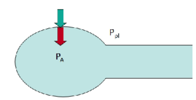 <p><strong>Expiratory flow limitations</strong></p><ul><li><p>At FRC P<sub>A</sub> = 0.</p></li><li><p>Therefore: P<sub>TM</sub> = 0 - P<sub>pl</sub> (e.g. if P<sub>pl</sub> = -0.5kPa, P<sub>TM</sub> = 0 - -5 = +0.5kPa)</p><p></p></li><li><p>Greater P<sub>TM </sub>indicates a greater more negative P<sub>pl </sub>which indicates a greater lung volume → <u>indicates a greater elastic recoil </u>→ indicates a&nbsp;greater distending pressure</p><p></p></li><li><p>More intrapleural pressure when pulling the lungs away from where they want to be and is retracting</p><ul><li><p>This retraction back to its equilibrium volume is generating a greater elastic recoil → greater distending pressure</p></li><li><p>Larger lung volume creates a greater flow</p></li></ul></li></ul>