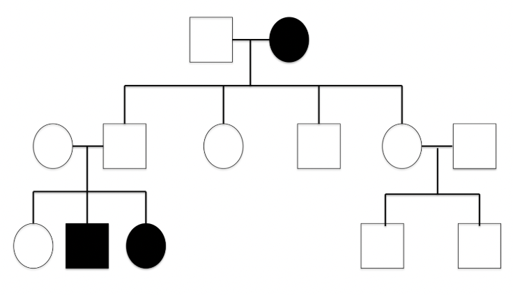 <p>common inheritance pattern, the disease is rare in the family, disease skips generations, and males &amp; females are equally likely to inherit the disease</p>
