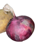 <p>What is its physiological maturity and commercial maturity?</p>