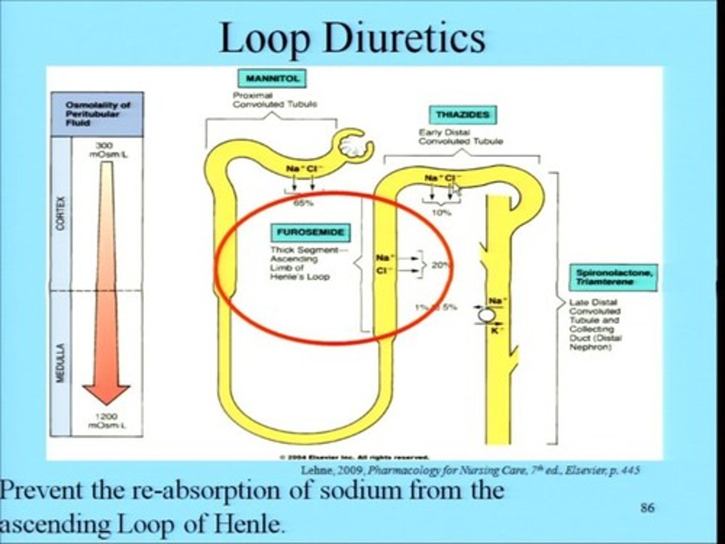 <p>Na+, K+, Cl- and fluid excretion would be elevated compared to normal patients.</p>