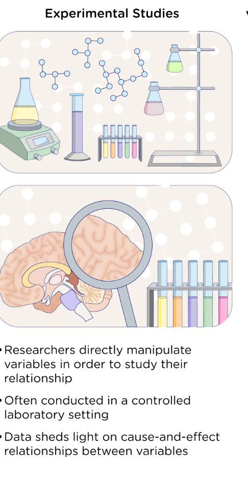 <p>Researchers assign participants to treatment and control groups. Interfere with the participants. </p>