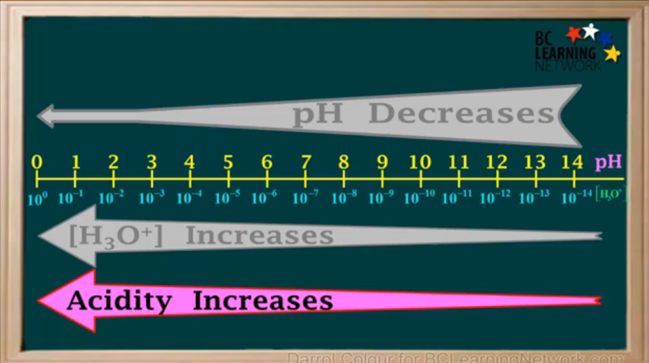 <p>pH decreases slightly.</p>