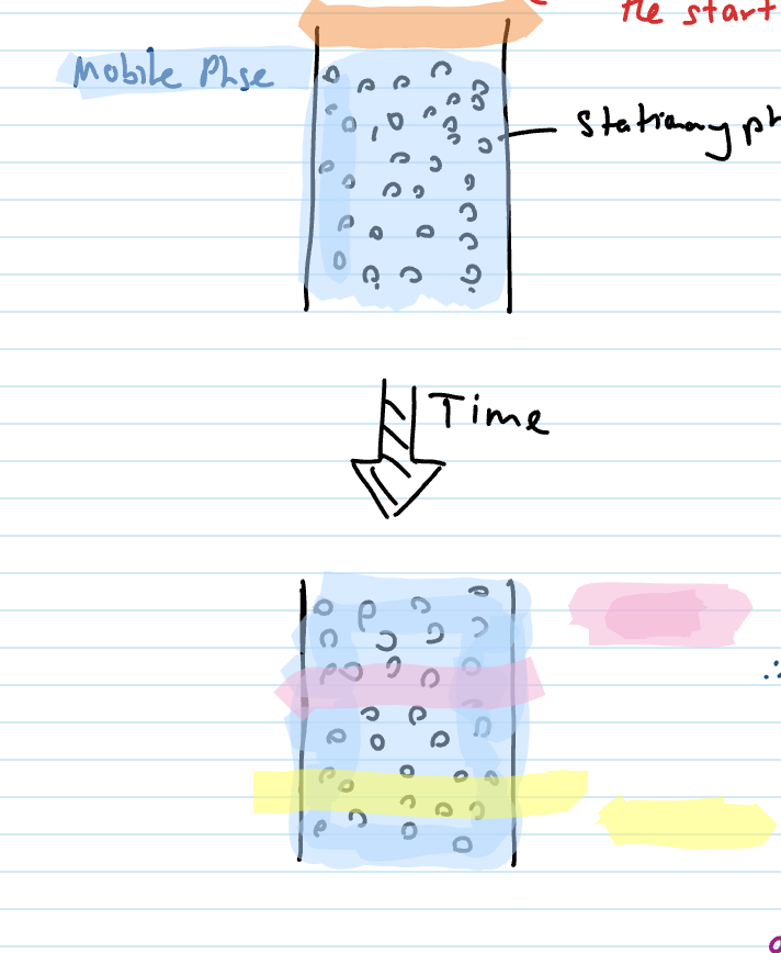 <p>In the column (process) + explain pink and yellow affinities</p>