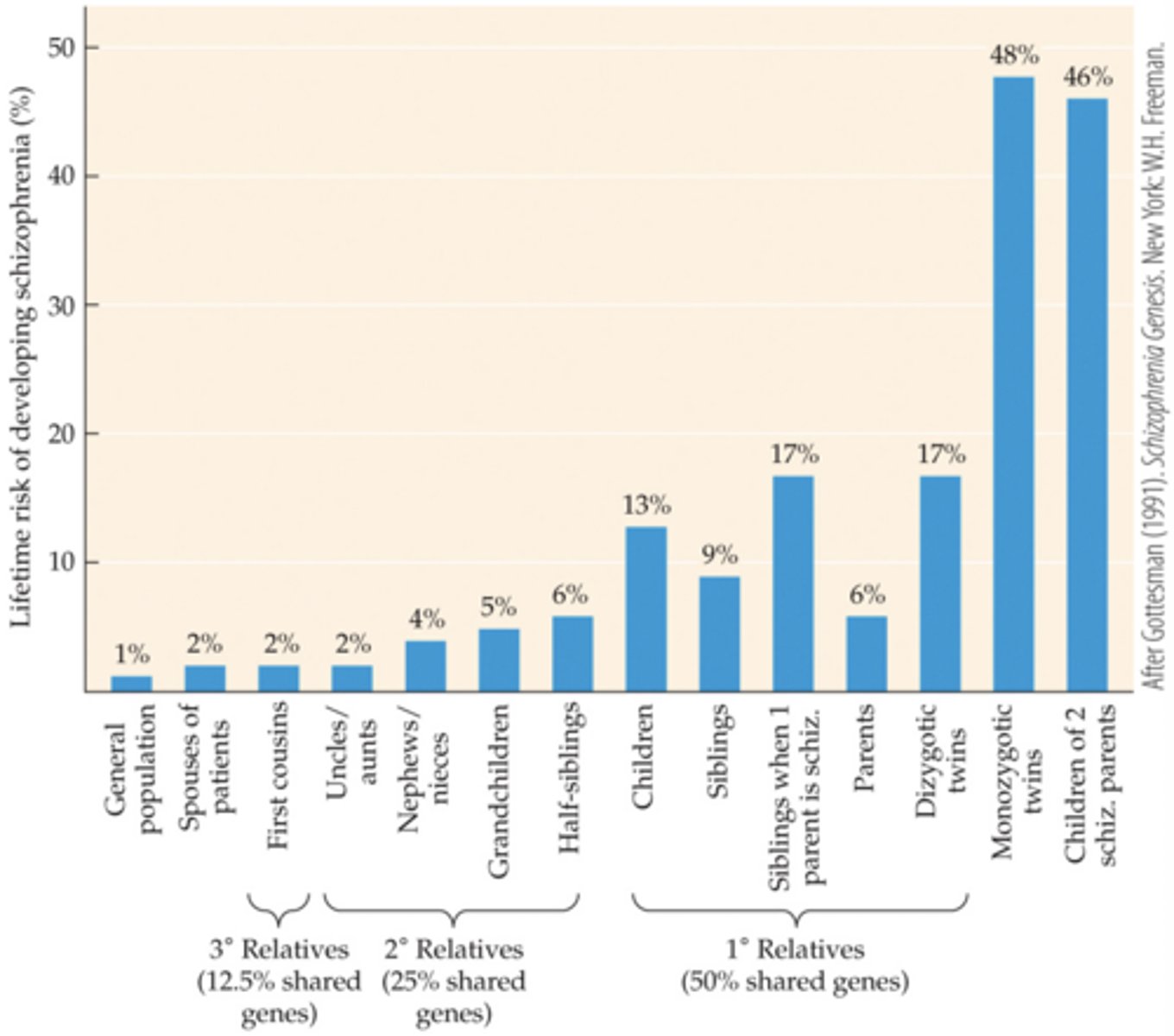 <p>-Strong genetic factor</p><p>-Some environmental factor: the womb, complications in birth (siblings vs dizygotic twins)</p>