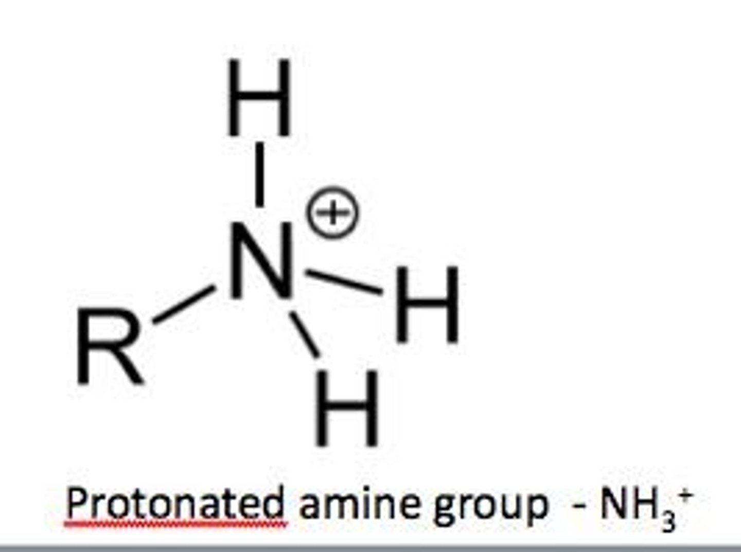 <p>A functional group characterized by -NH2.</p>