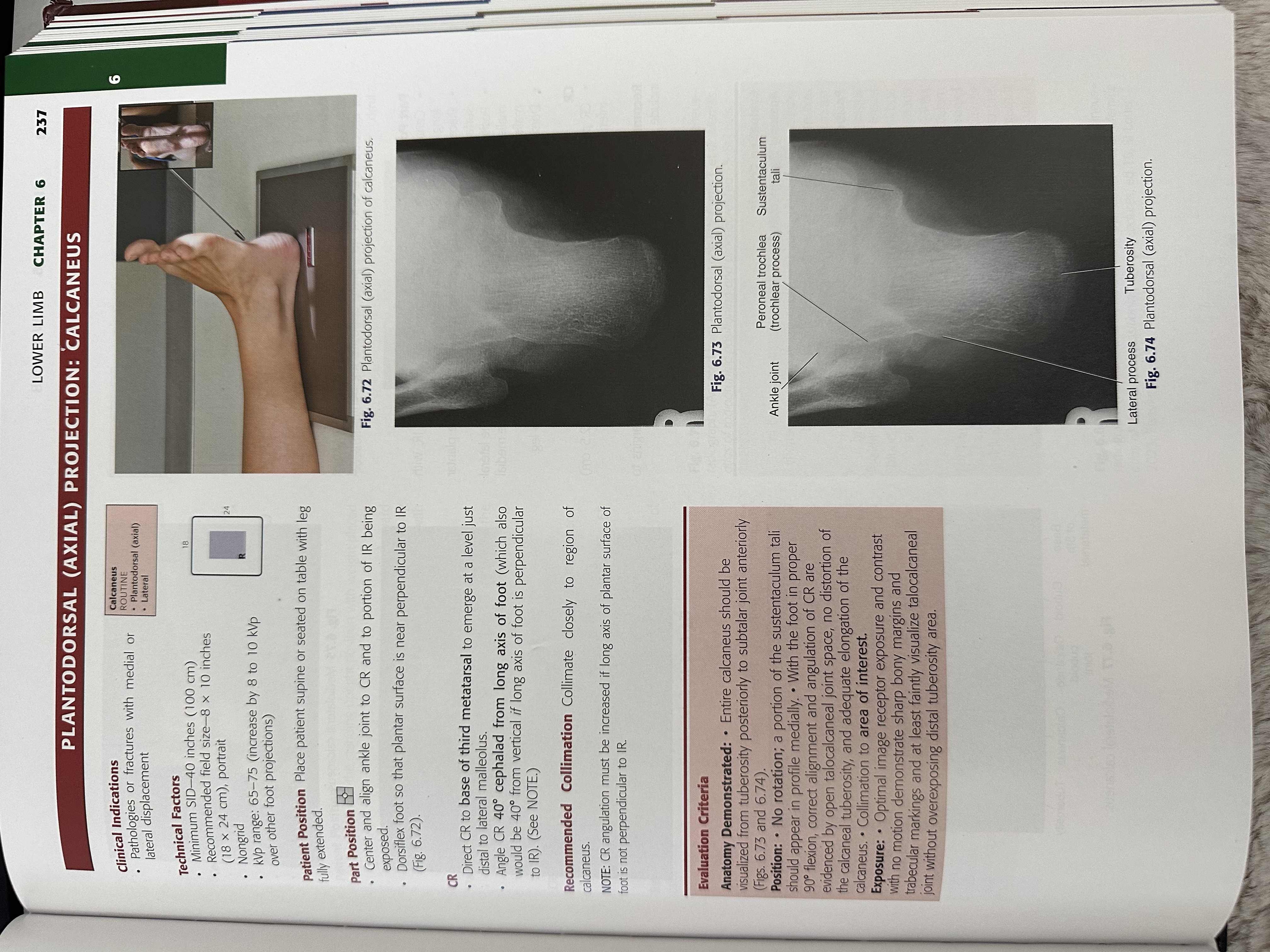 knowt flashcard image