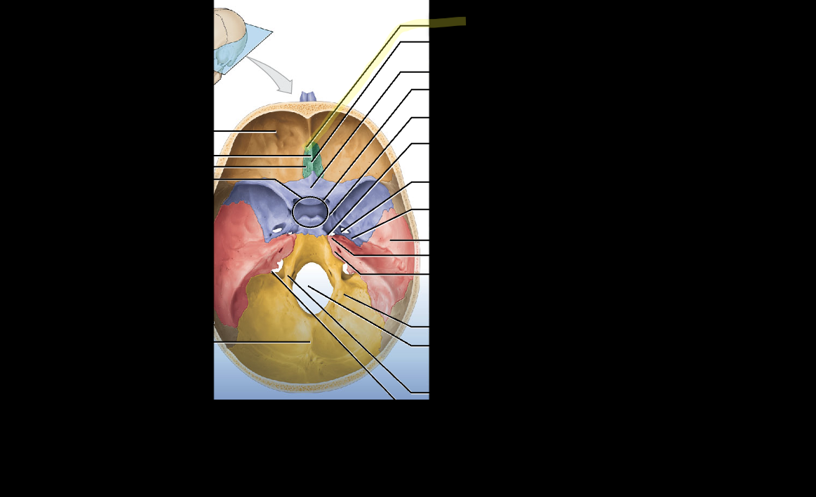 <p>What structure is this?</p>