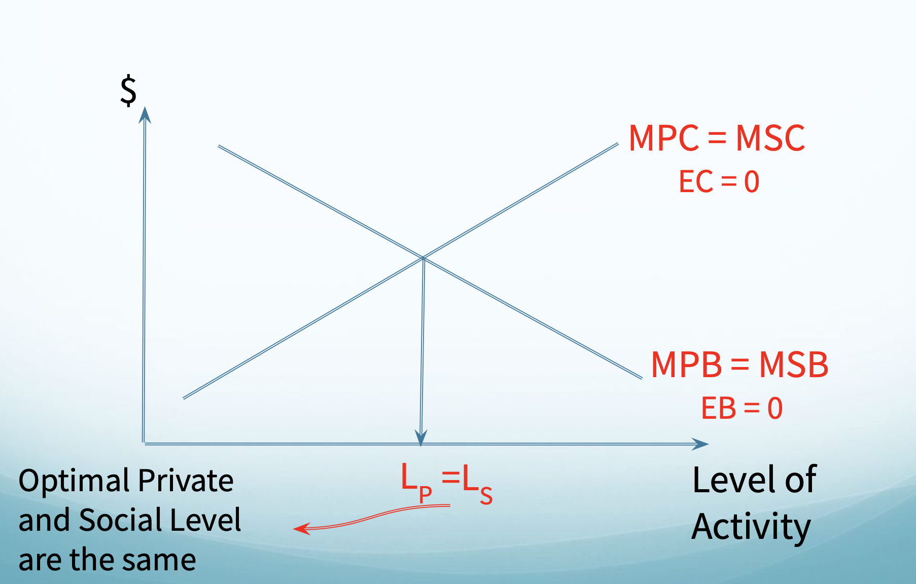 <p>Optimal Private and Social Level are the same</p>