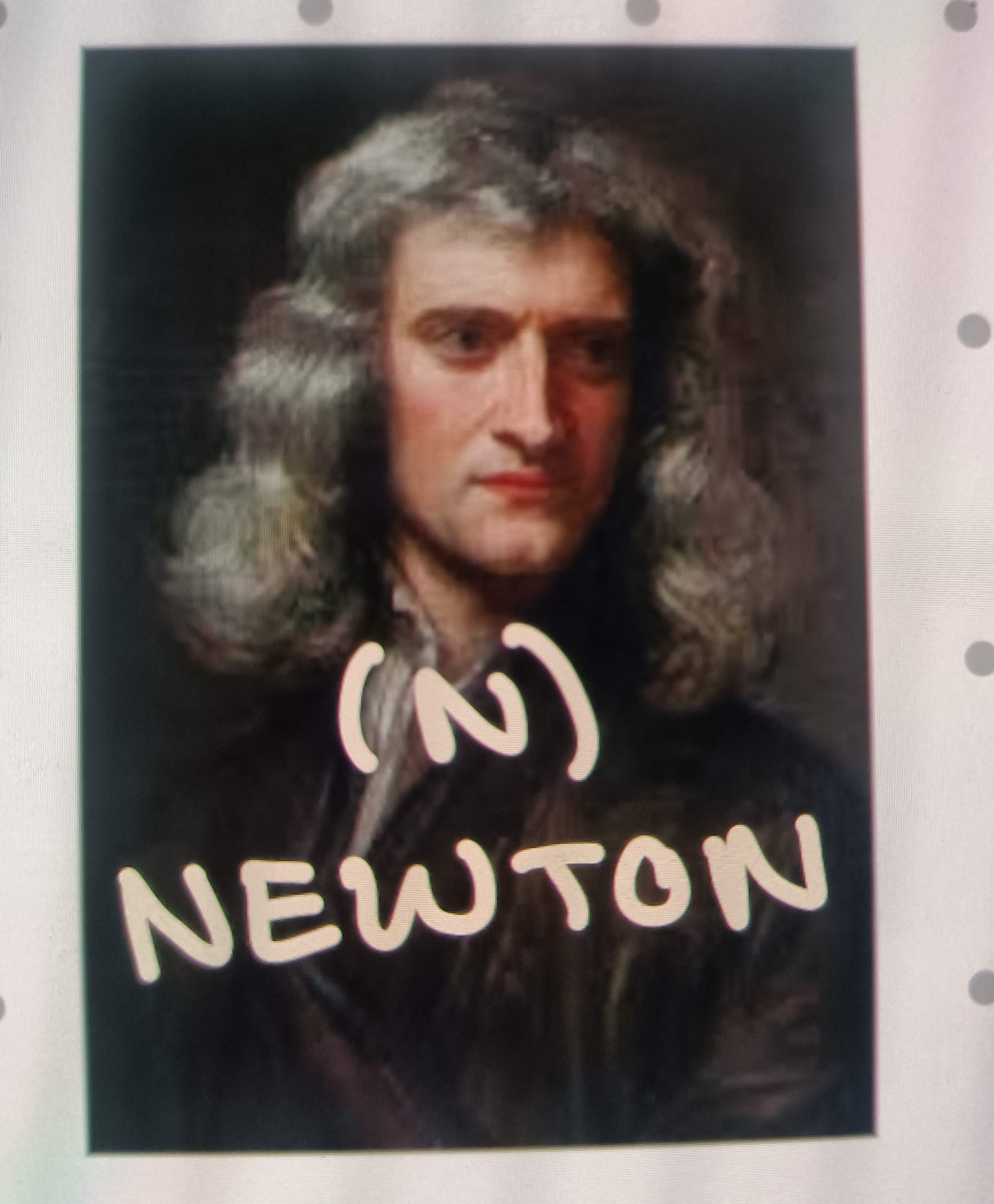 <p>Newton (N) </p>