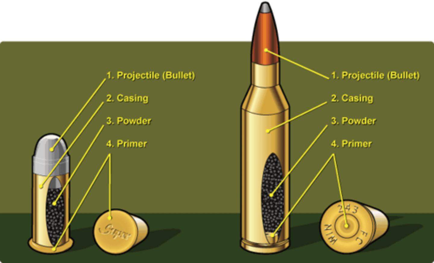 <p>It is a complete unfired unit consisting of bullet, cartridge case, gunpowder and primer.</p>