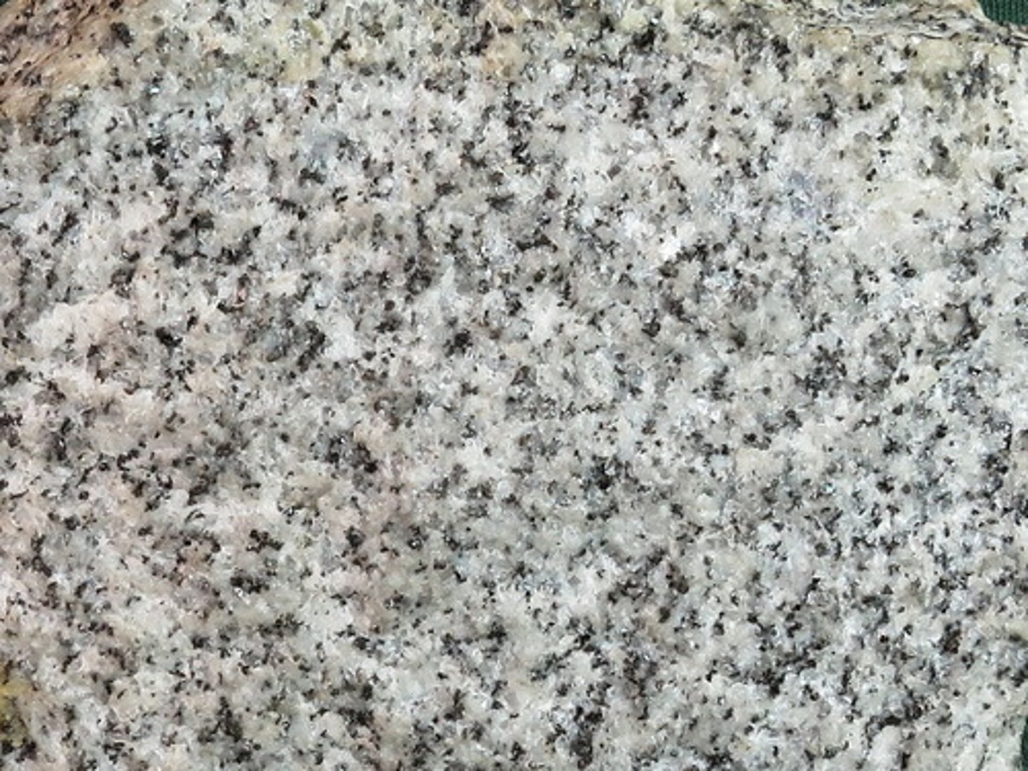 <p>This is a relatively fine-grained rock, containing white albite, gray-glassy quartz, and black flakes of biotite (Plutonic Rock)</p>