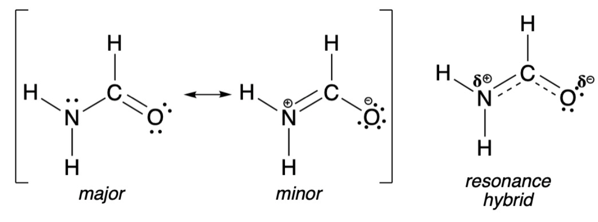<p>The more stable the resonance structure, the more it ___________ to the character of the ___________ _________</p>