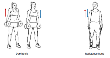 <p>These 2 isotonic exercises are called what?</p>