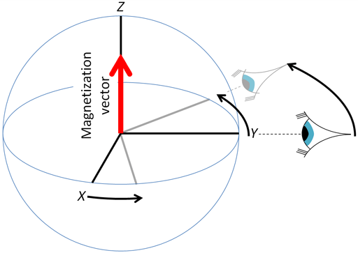 <p>What is the XY plane called?</p>
