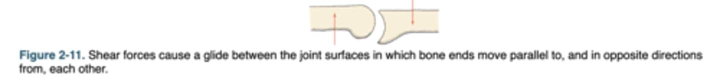 <p>&nbsp;cause a gliding motion where joint surfaces move parallel to each other.</p>