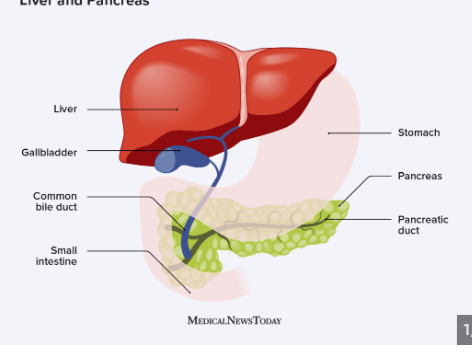 <p><span style="font-family: Droid Sans Mono, monospace">PANCREAT/O</span></p>