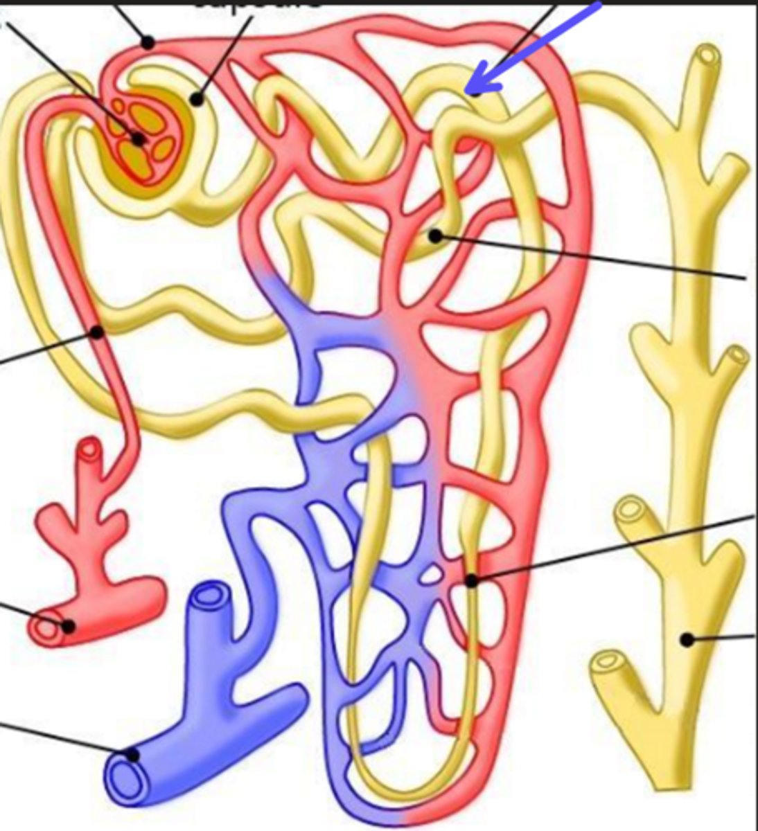 <p>What is the arrow pointing at?</p>