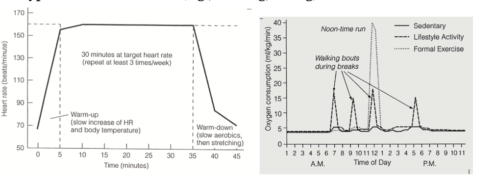 <p><span style="background-color: transparent;"><span>T = time or duration (e.g., 150 min/wk)</span></span></p><p><span style="background-color: transparent;"><span>T = type or mode of exercise (e.g., walking, biking)</span></span></p>