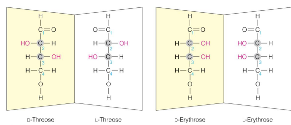 <ul><li><p><span>Stereoisomers that are <strong>mirror images</strong> of each other but<strong> cannot be superimposed</strong></span></p></li><li><p><span>Stereoisomers that are <strong>non-superimposed mirror images</strong> of each other are <strong>enantiomers</strong></span></p></li><li><p>optimal isomer that are mirror images</p></li></ul><p></p>