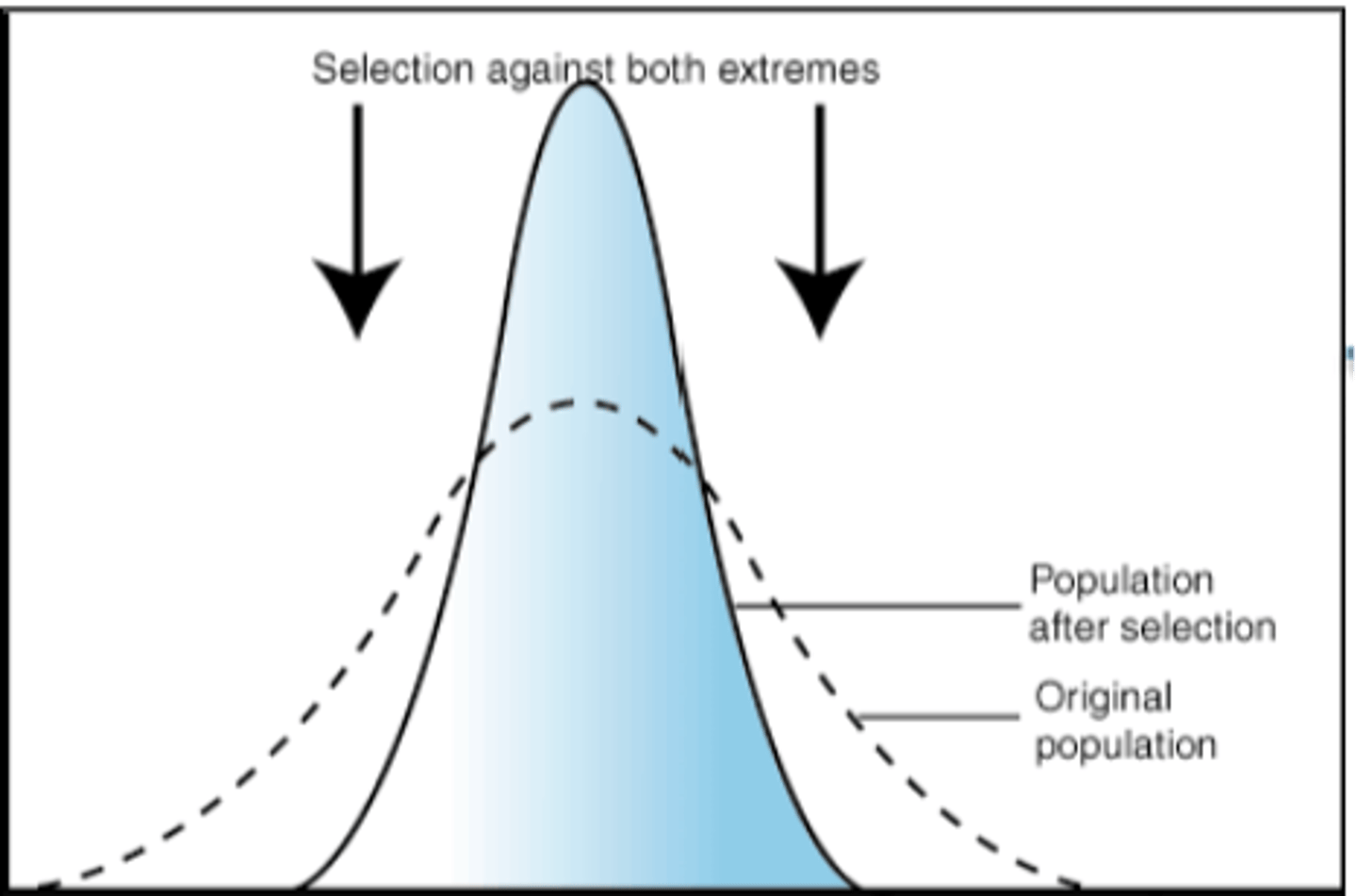 <p>against both extremes</p><p>selects for a very narrow range of phenotypes</p>