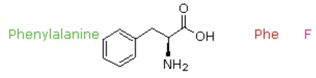 <p>Phe, F</p>