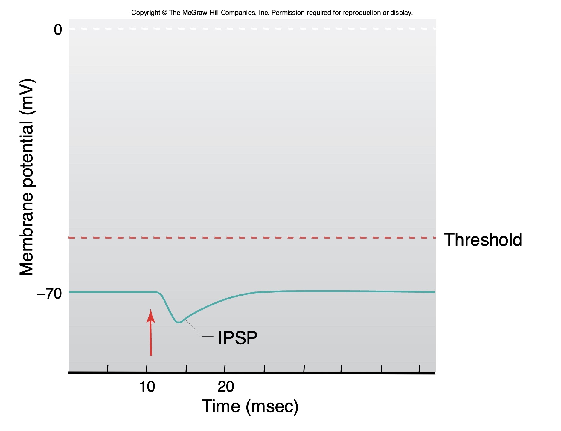 <p>inhibitory </p>