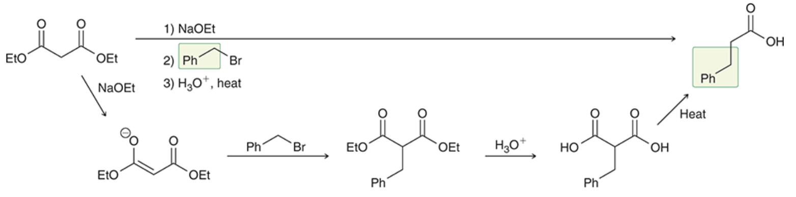 <ul><li><p>Malonic ester synthesis</p><ul><li><p>Alkylation product that conserves a carboxylic acid group</p></li></ul></li></ul><p></p>