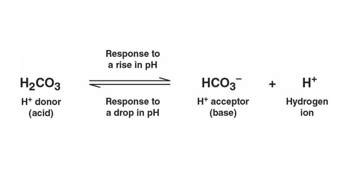 Reaction showing response to rise and fall in pH in a buffered solution