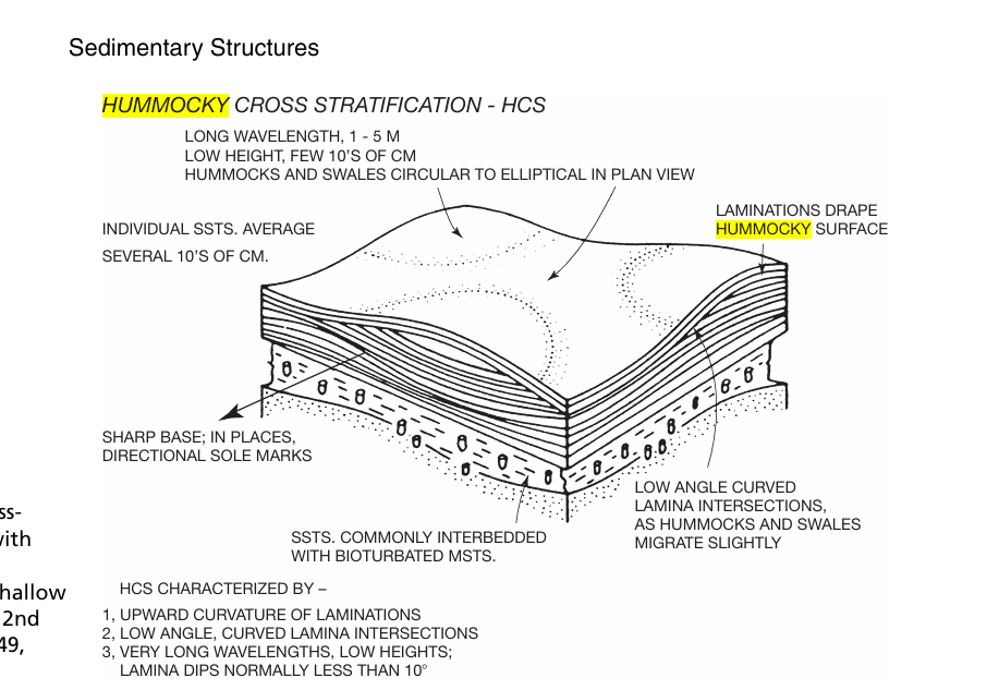 <p>Hummocky cross stratification can be defined as undulating sets of cross laminae that are both convex up(hummocks) and concave up(swales). They have wavy erosional bases and rippled bioturbated tops.The other name is hummocky mega ripples.These are 3d , elliptical , circular mounds(hummocks) separed from each other by swales.</p><p>They are formed due to strong surges of oscillatory flow during stormy conditonns. They are commonly found in marine environments. It is not possible to ascertain the paleocurrent direction from this strcuture.</p>