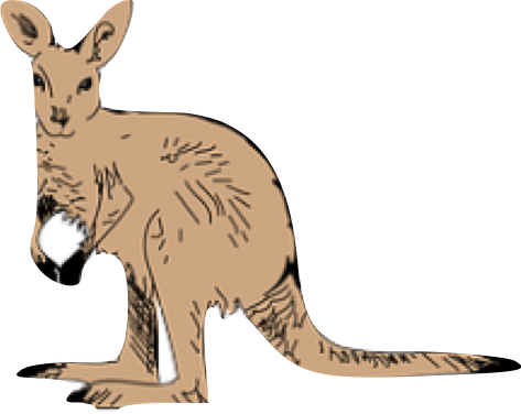 <p>a kangaroo</p>